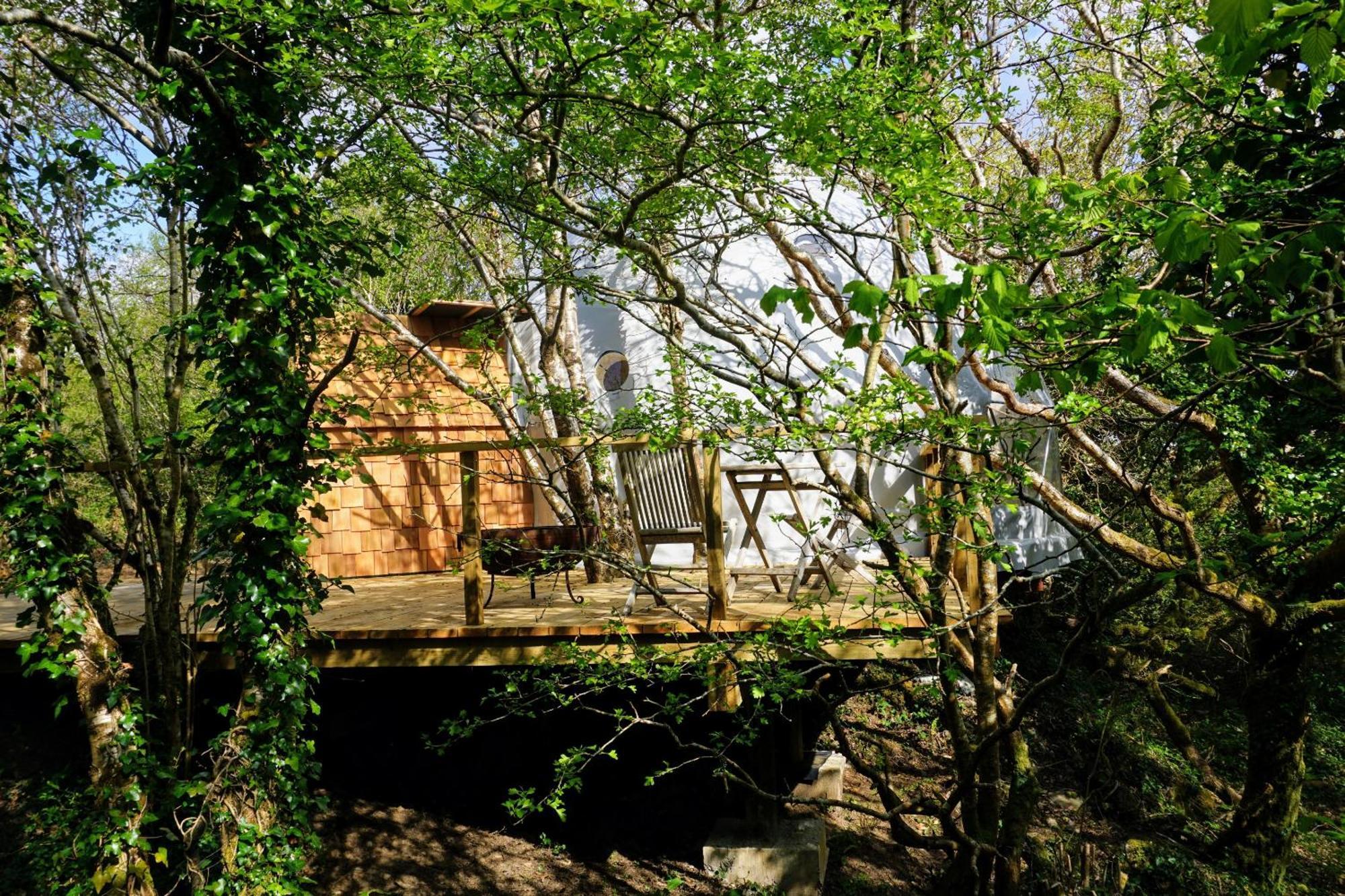 Fernwood Villa Clifden Bilik gambar
